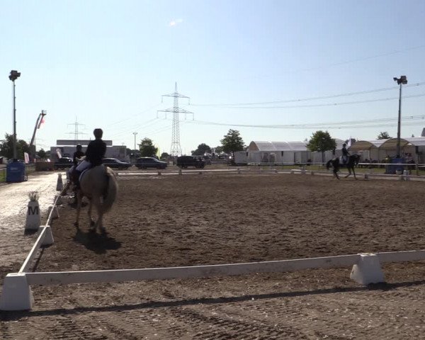 Reitturnier Heinsberg 2019