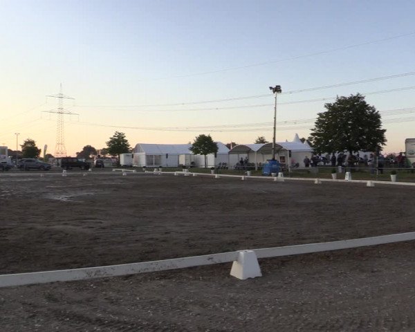 Reitturnier Heinsberg 2019