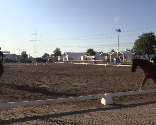 Reitturnier Heinsberg 2019