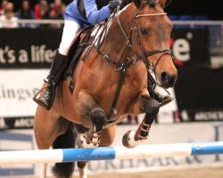jumper Colton Milton (Irish Sport Horse, 2004)