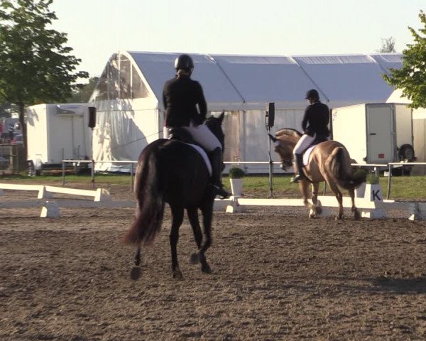 Reitturnier Heinsberg 2019