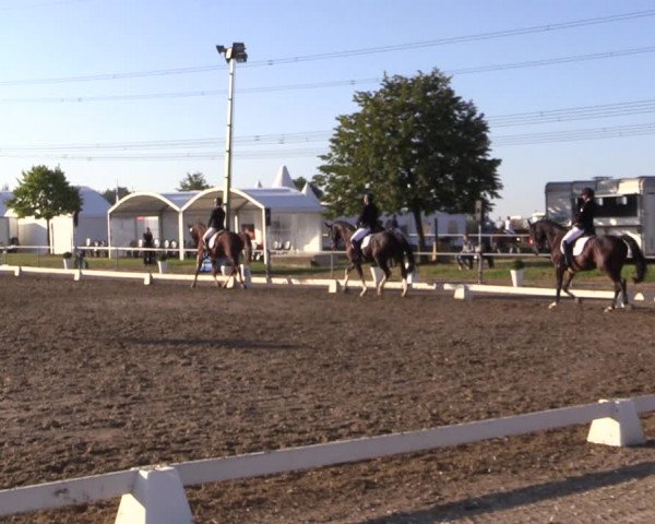Reitturnier Heinsberg 2019