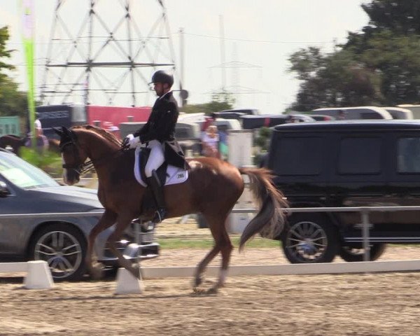 Reitturnier Heinsberg 2019