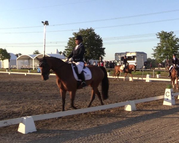 Reitturnier Heinsberg 2019