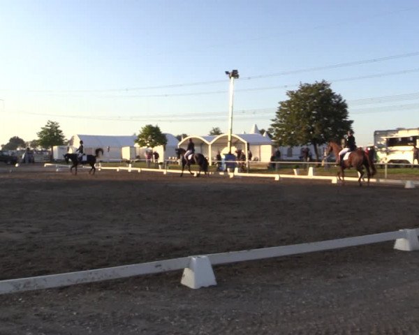 Reitturnier Heinsberg 2019