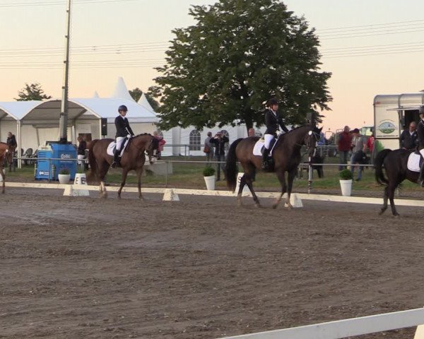Reitturnier Heinsberg 2019