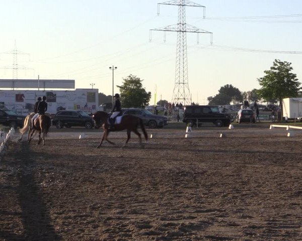 Reitturnier Heinsberg 2019