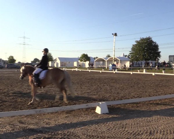 Reitturnier Heinsberg 2019