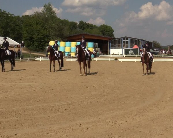 Reitturnier Bühren-Breckerfeld 2019