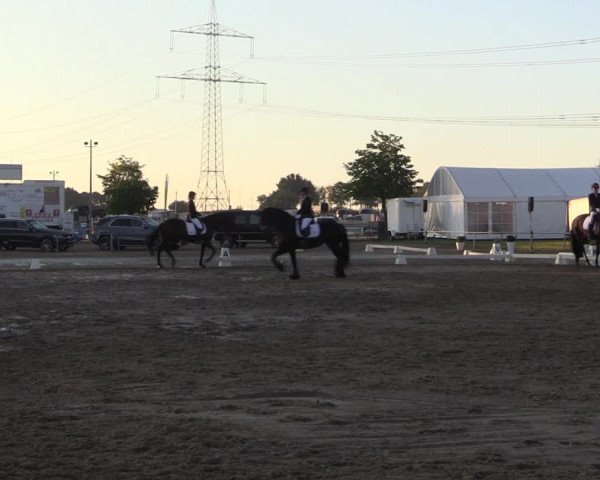 Reitturnier Heinsberg 2019