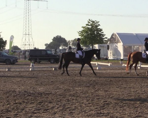 Reitturnier Heinsberg 2019