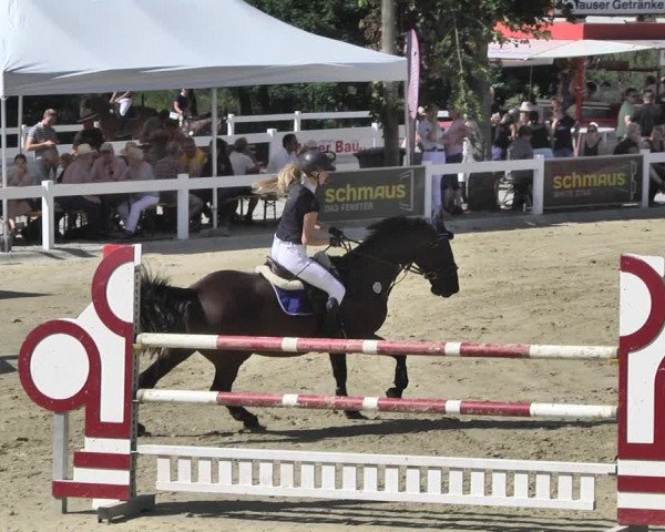 Reitturnier Hauerz 2019