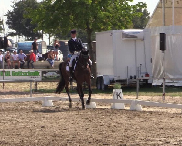 Reitturnier Heinsberg 2019