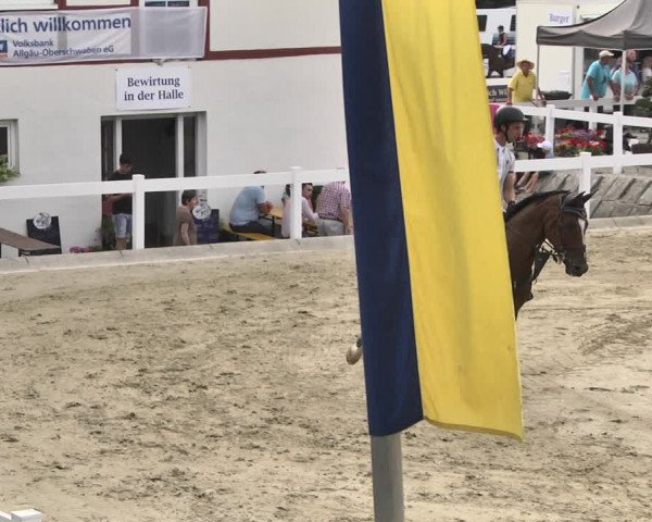 Reitturnier Hauerz 2019