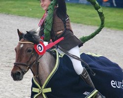 horse Orlando XI (British Riding Pony, 2002)