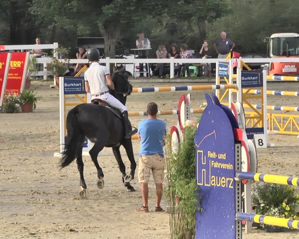 Reitturnier Hauerz 2019