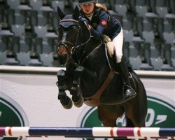 horse Woodfield Rising Star (Irish Sport Horse, 1999)