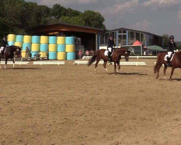 Reitturnier Bühren-Breckerfeld 2019