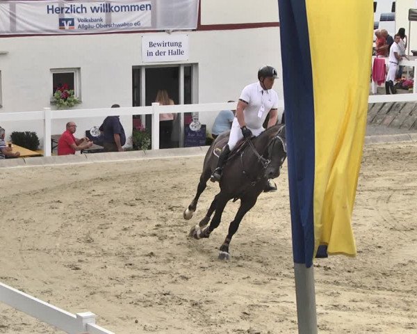 Reitturnier Hauerz 2019