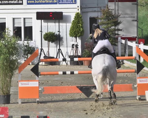 Reitturnier Hauerz 2019
