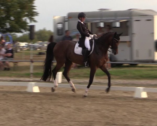 Reitturnier Heinsberg 2019
