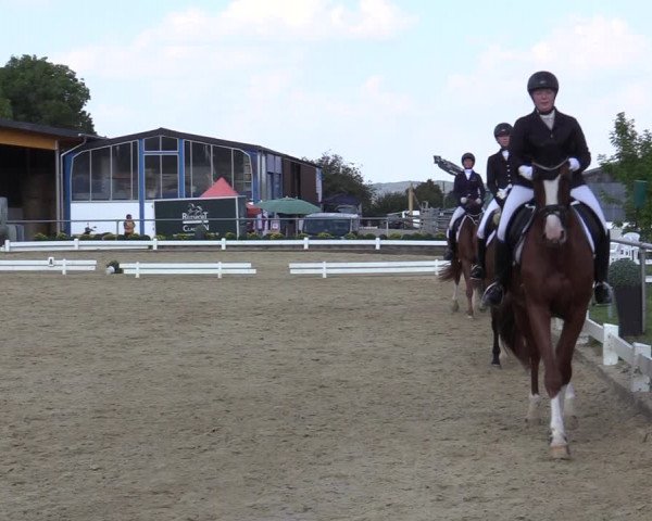 Reitturnier Bühren-Breckerfeld 2019