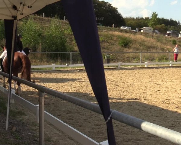 Reitturnier Bühren-Breckerfeld 2019