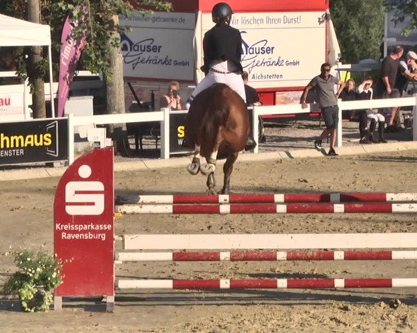 Reitturnier Hauerz 2019