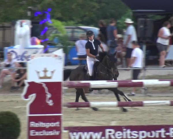 Reitturnier Heinsberg 2019