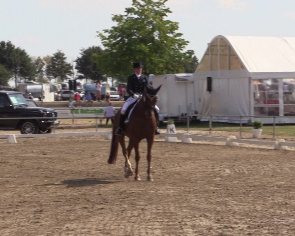 Reitturnier Heinsberg 2019