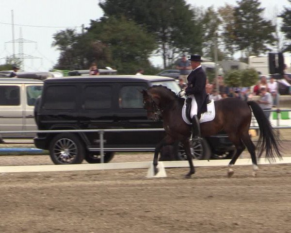 Reitturnier Heinsberg 2019