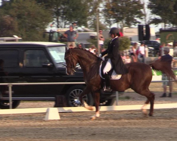 Reitturnier Heinsberg 2019