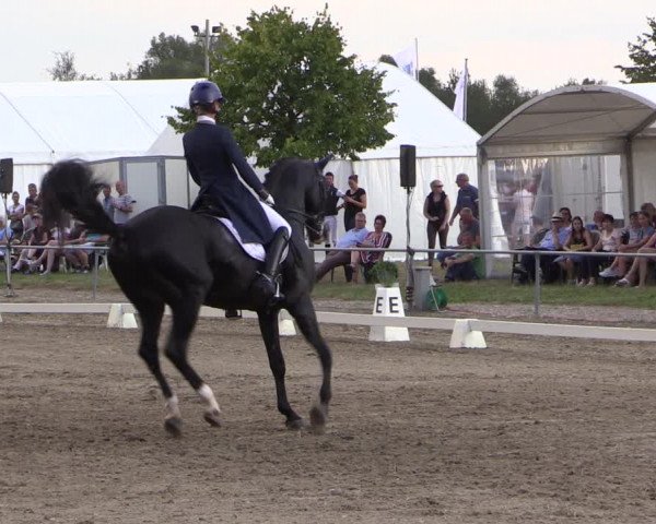 Reitturnier Heinsberg 2019