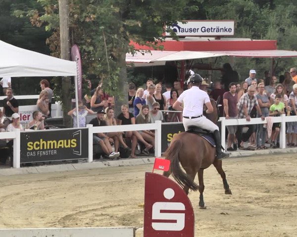 Reitturnier Hauerz 2019