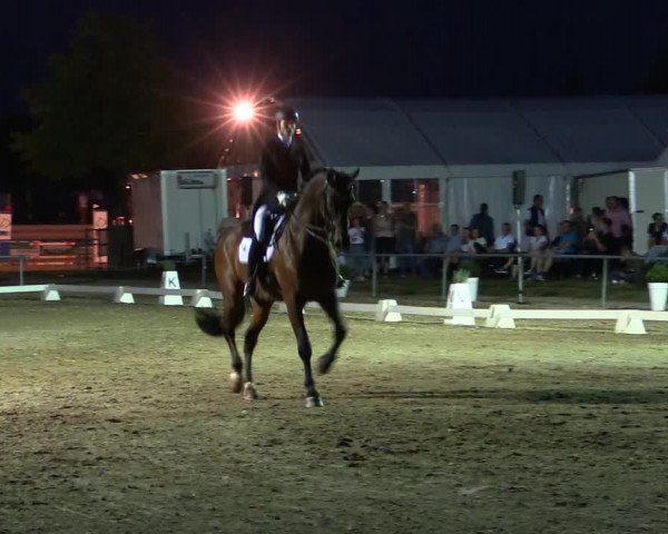 Reitturnier Heinsberg 2019