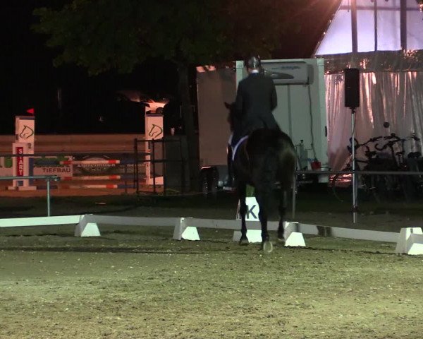 Reitturnier Heinsberg 2019