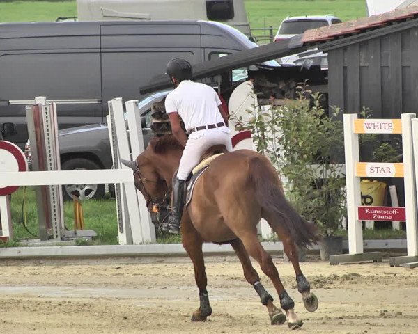 Reitturnier Hauerz 2019
