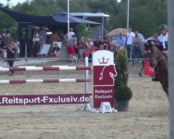 Reitturnier Heinsberg 2019