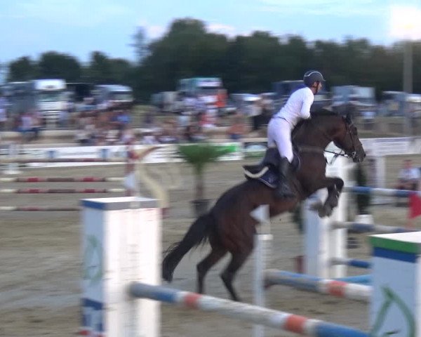 Reitturnier Heinsberg 2019