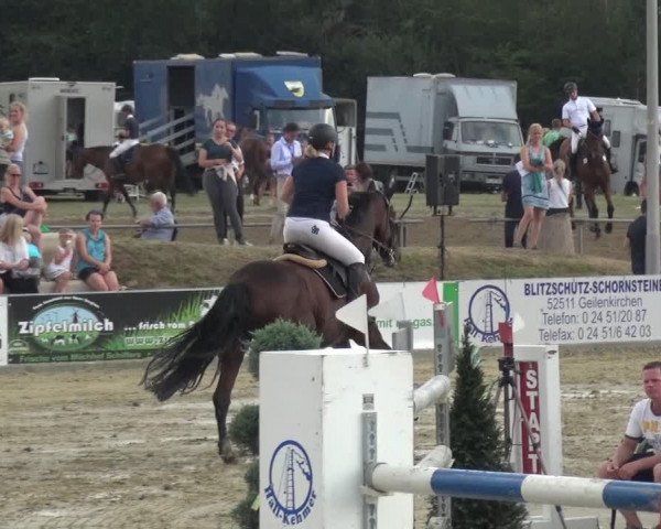Reitturnier Heinsberg 2019