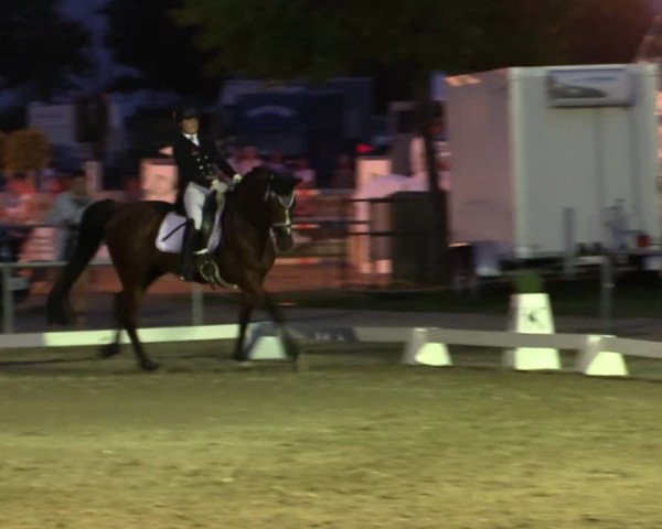 Reitturnier Heinsberg 2019