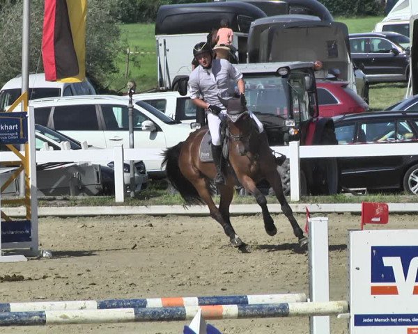 Reitturnier Hauerz 2019