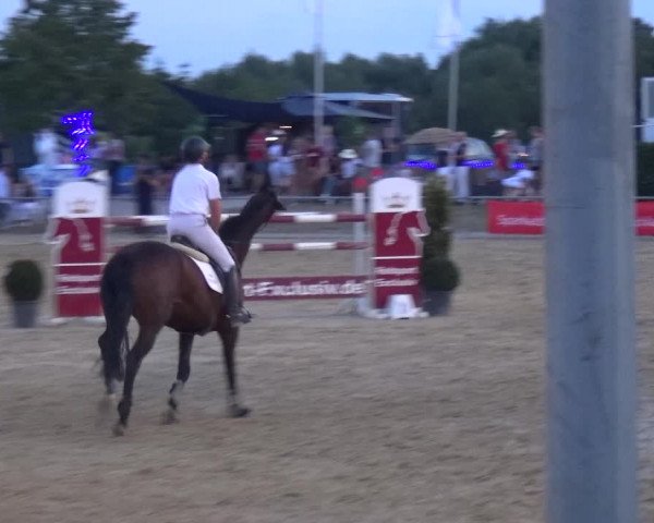 Reitturnier Heinsberg 2019