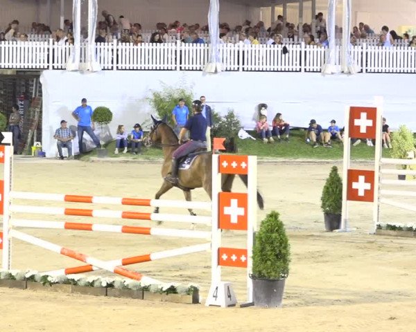 Reitturnier Humlikon 2019