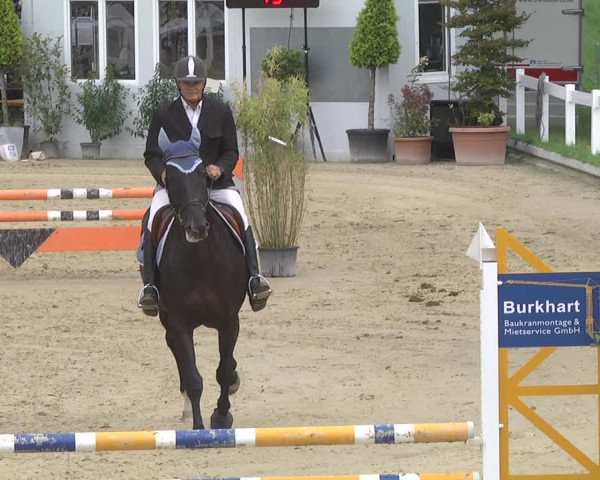 Reitturnier Hauerz 2019