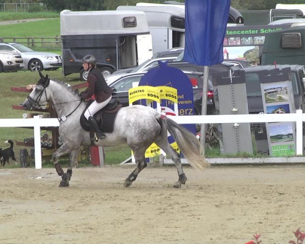 Reitturnier Hauerz 2019