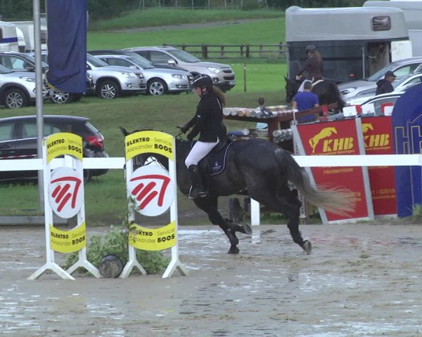 Reitturnier Hauerz 2019