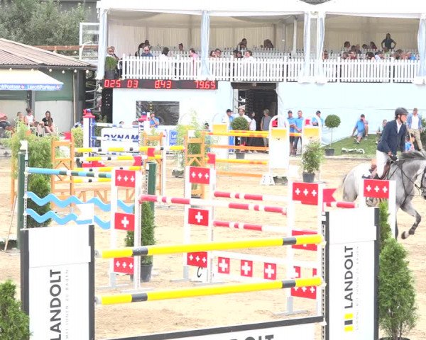 Reitturnier Humlikon 2019