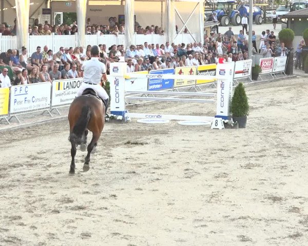 Reitturnier Humlikon 2019