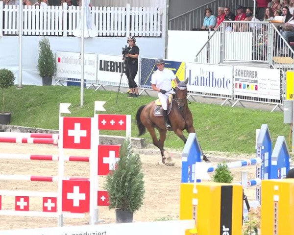 Reitturnier Humlikon 2019